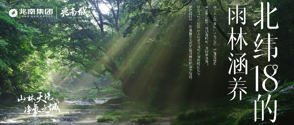 北纬18°的雨林涵养